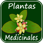 Plantas Medicinales y sus Usos biểu tượng