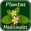 Medicinal Plants and Their Uses