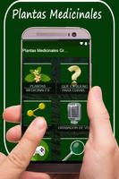 Plantas Medicinales y sus Usos Poster