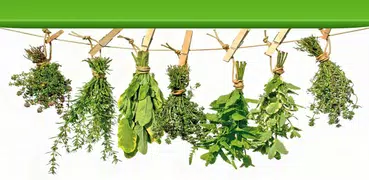 Medicinal Plants - Free Natural Medicine