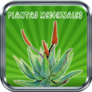 Medicinal Plants - Free Natural Medicine APK