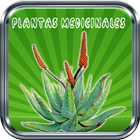 Plantas Medicinales Zeichen