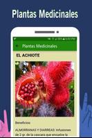 Medicinal Plants - Free Natural Medicine screenshot 3