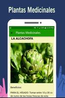 Medicinal Plants - Free Natural Medicine screenshot 1