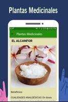 Plantas Medicinales Screenshot 2