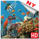 Bakgrunnsbilde akvarium hd, akvarium bilder mobile APK