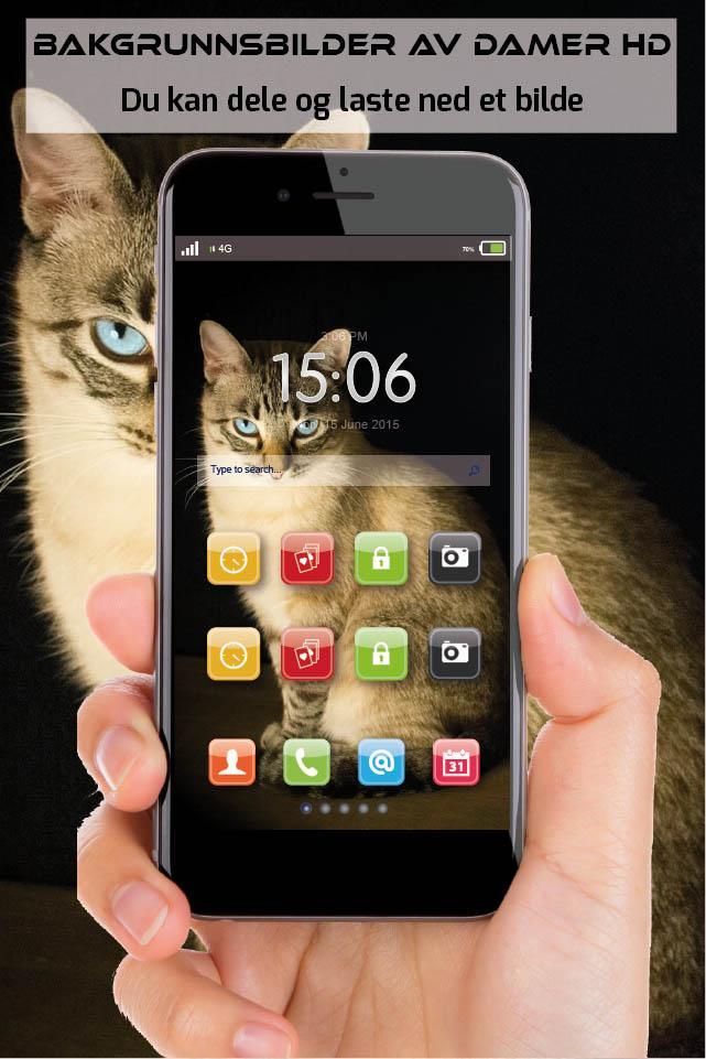 Bakgrunnsbilder Av Kattunger Hd Bilder Kattunger For Android Apk Download