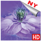 Bakgrunnsbilder blomster hd 2018 til telefon أيقونة