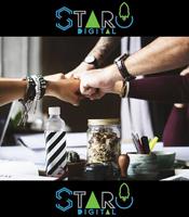 Staro Digital Publicidad تصوير الشاشة 3