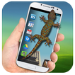 Lizard on Phone 3D Funny Joke – Scary Gecko Prank
