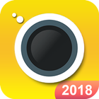 Collage Photo Maker Face 2018 icône
