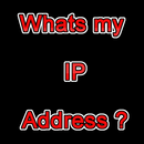 Whats my IP address APK