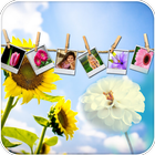 Cool Instant Photo frames آئیکن