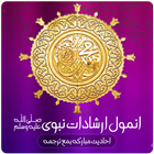 Anmol Irshadat-e-Nabvi (SAW) icon