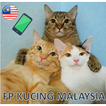 FP Kucing Malaysia 2017