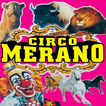 Circo Merano
