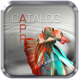 Betta Apps Catalog icône