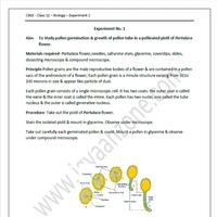CBSE Biology Practical Std12 Cartaz