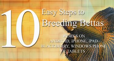 1 Schermata 10 Easy Steps to Breed Bettas