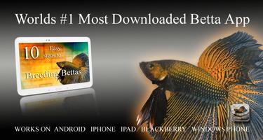 10 Easy Steps to Breed Bettas capture d'écran 2