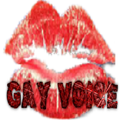 Gay Voice