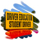 Defensive Driving Specialists simgesi