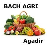 bachagri agadir-icoon