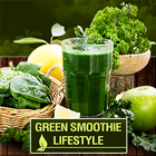 Green Smoothie Lifestyle icône
