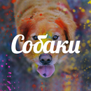 Собаки | Щенки-APK