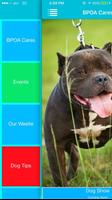 Bahamas Pet Owners Ekran Görüntüsü 2