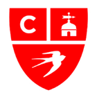 Copenhagen Primary School icon