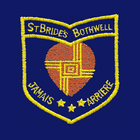 St Bride's Primary School icône