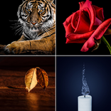 HD Wallpapers and Backgrounds