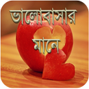 ভালোবাসার সংজ্ঞা APK