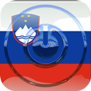 Radio Center Megamix Station APK