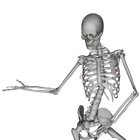 آیکون‌ Dancing Bones