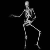 Dancing Bones постер