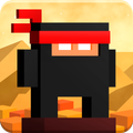Ninja Stick