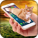 القط يمشي في الهاتف نكتة: الرسوم المتحركة لطيف APK