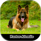 Figurinhas de Pastor Alemão Zeichen