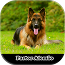 Figurinhas de Pastor Alemão APK