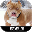 Stonemy pitbull Stickers APK