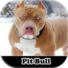 Figurinhas meu Pitbull ikon