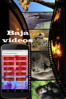 برنامه‌نما Bajar Vídeos Gratis En MP4 A Mi Celular Guía Facil عکس از صفحه