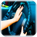 Car Horn Sounds