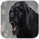 Panther Sounds APK