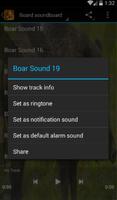 برنامه‌نما Boar Sounds عکس از صفحه