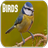 Bird Sounds APK