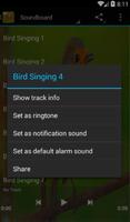 Bird Sounds پوسٹر