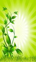 Kỹ thuật môi trường ảnh chụp màn hình 3
